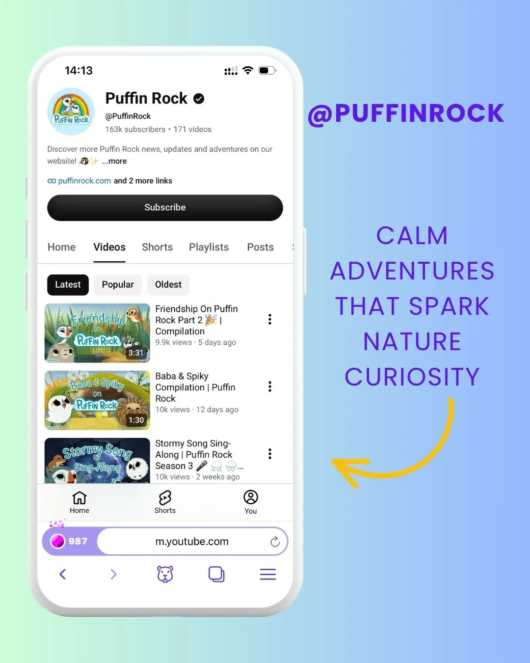 Puffin Rock